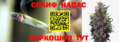 МДПВ Севастополь