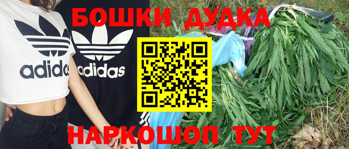 Каннабис White Widow  Канабис планчик  Новозыбков  Вход с VPN  Марихуана план 